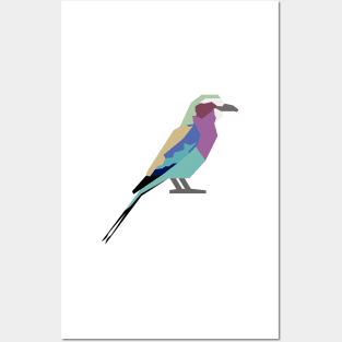 Graphic Nature - Lilac breasted Roller Posters and Art